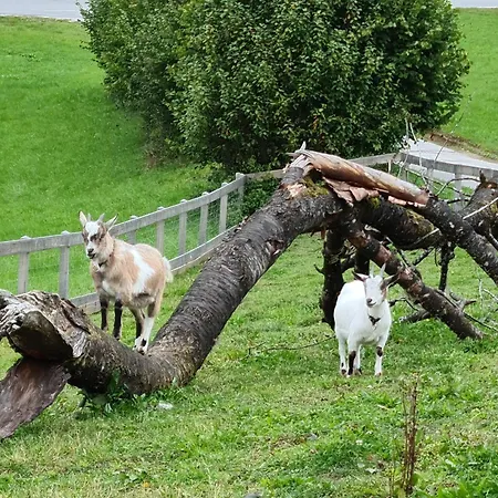 Gut Mitterlehen *