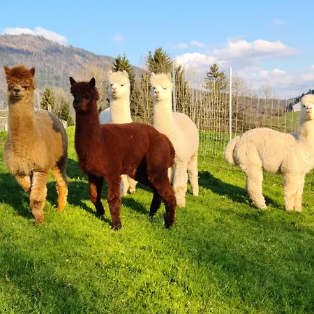 Gut Mitterlehen Apartment Elsbethen