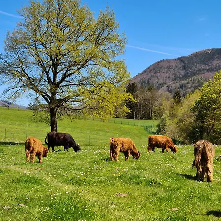 Gut Mitterlehen Elsbethen