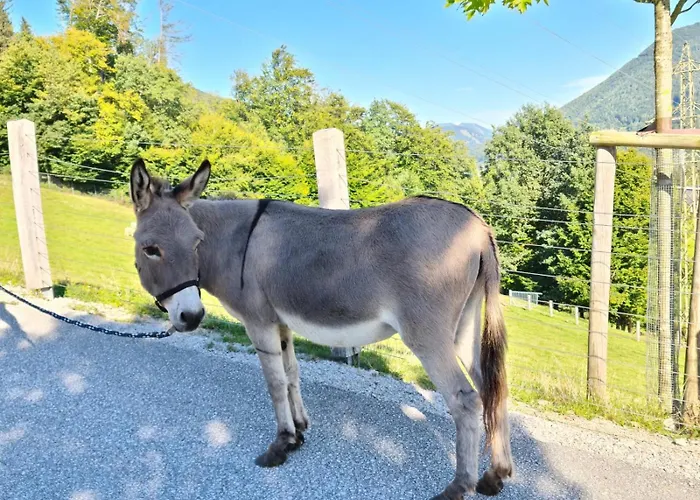 Gut Mitterlehen Apartamento *